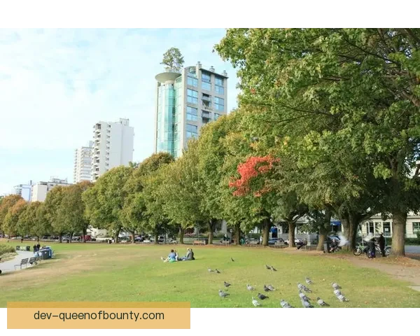 2026世界杯加拿大赛区温哥华多伦多绿色出行全攻略指南